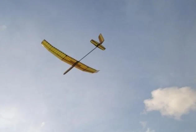 Fresh 2m 3 Fresh 2m - Image 3