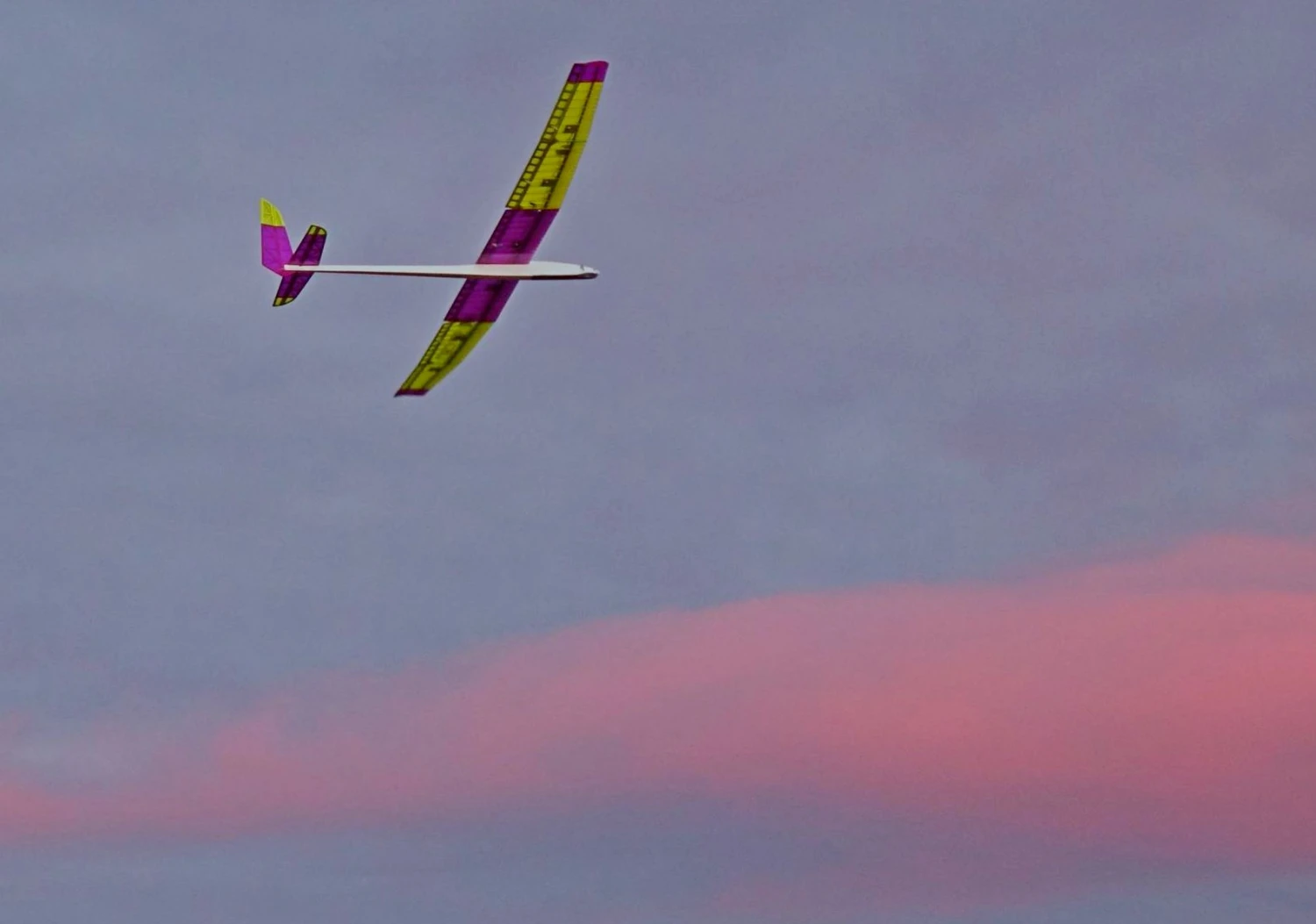 Inside F5J 2.9m 3 Inside F5J 2.9m - Image 3