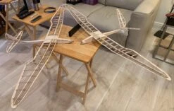 Micro Bird Of Time 1.2m 27 Micro Bird Of Time 1.2m -Remote Control Models Store micro bird of time 1 2m 190