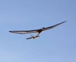 Micro Bird Of Time 1.2m 18 Micro Bird Of Time 1.2m -Remote Control Models Store micro bird of time 1 2m 40