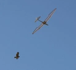 Micro Bird Of Time 1.2m 19 Micro Bird Of Time 1.2m -Remote Control Models Store micro bird of time 1 2m 45