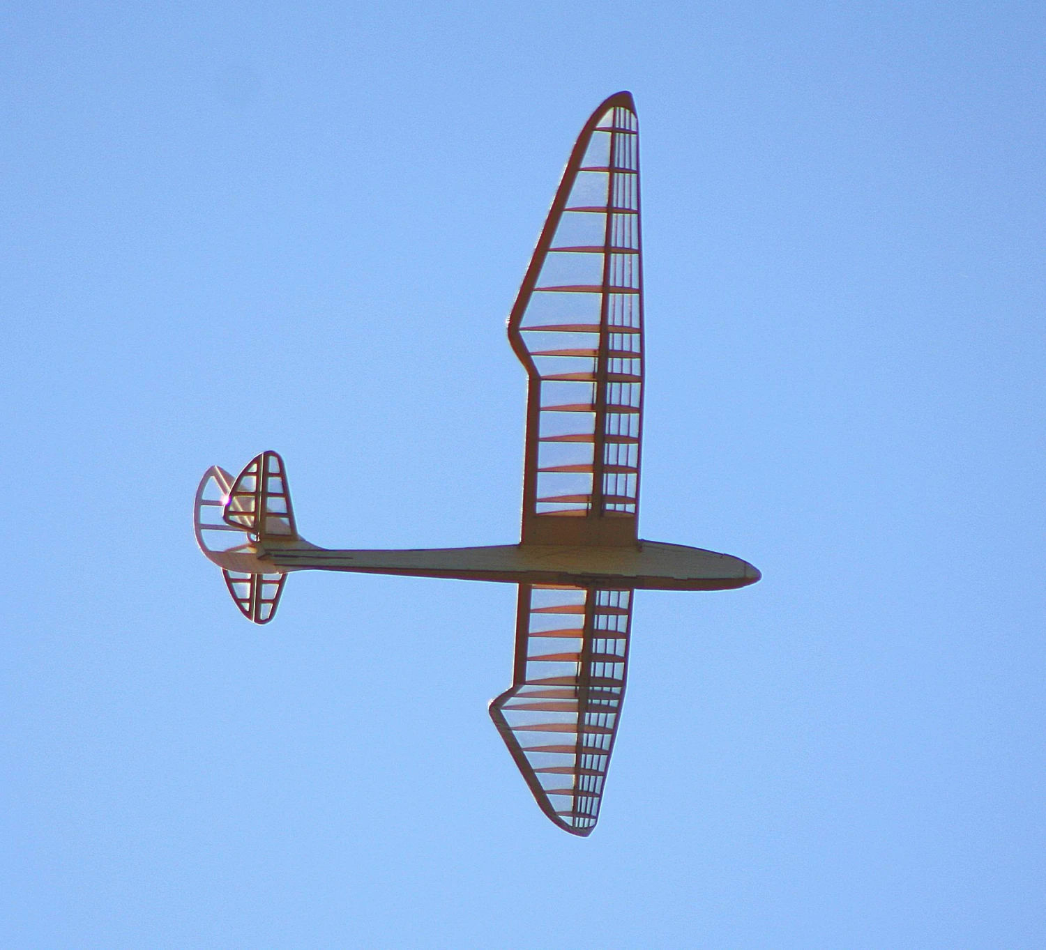 Micro Bird Of Time 1.2m 5 Micro Bird Of Time 1.2m - Image 5