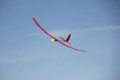 Purito 2m -Remote Control Models Store purito 2m 14